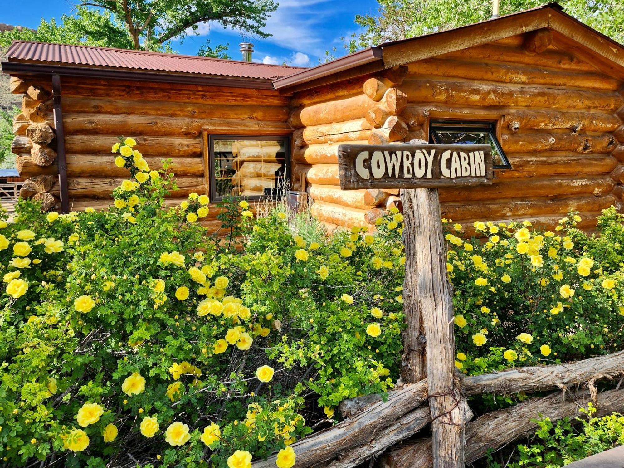 Canyon Of The Ancients Guest Ranch Resort 2*