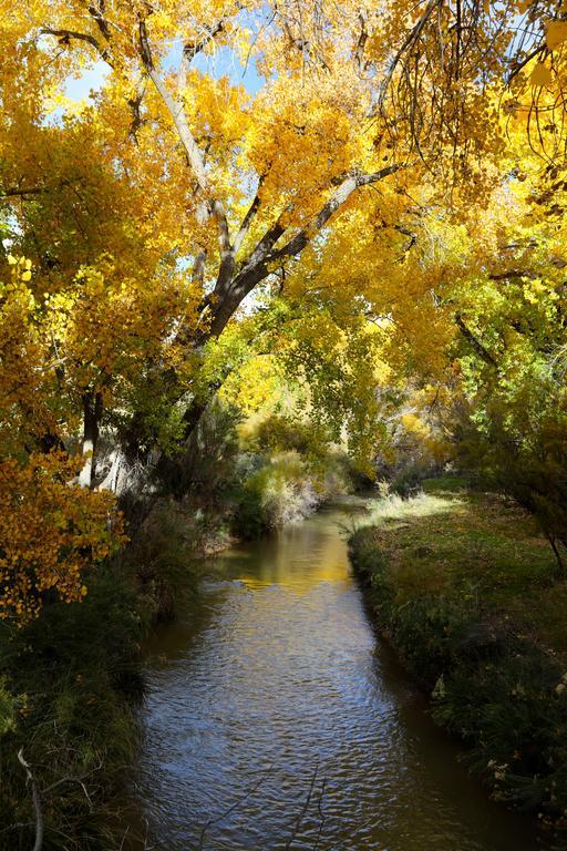 Canyon Of The Ancients Guest Ranch Resort 2*