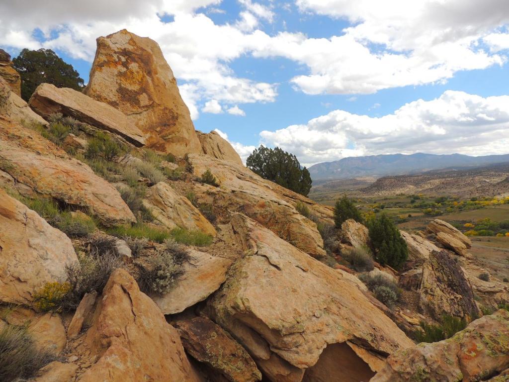 Canyon Of The Ancients Guest Ranch