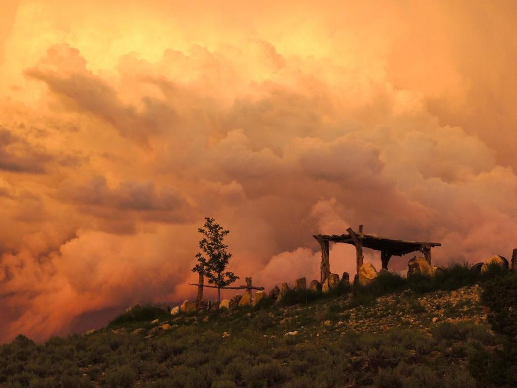 Canyon Of The Ancients Guest Ranch Resort 2*