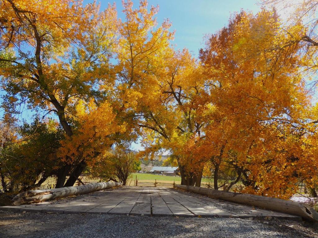 Canyon Of The Ancients Guest Ranch Resort 2*