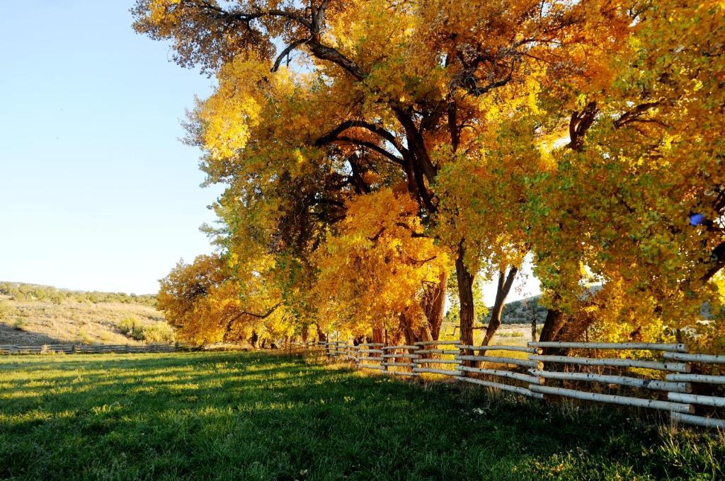 Canyon Of The Ancients Guest Ranch 2* Cortez