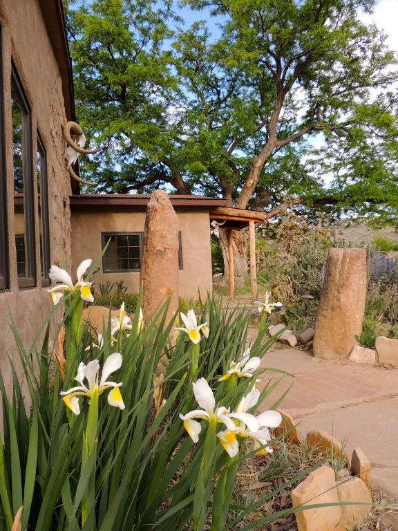Canyon Of The Ancients Guest Ranch 2* Cortez