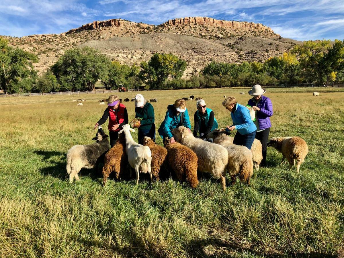 Canyon Of The Ancients Guest Ranch 2*