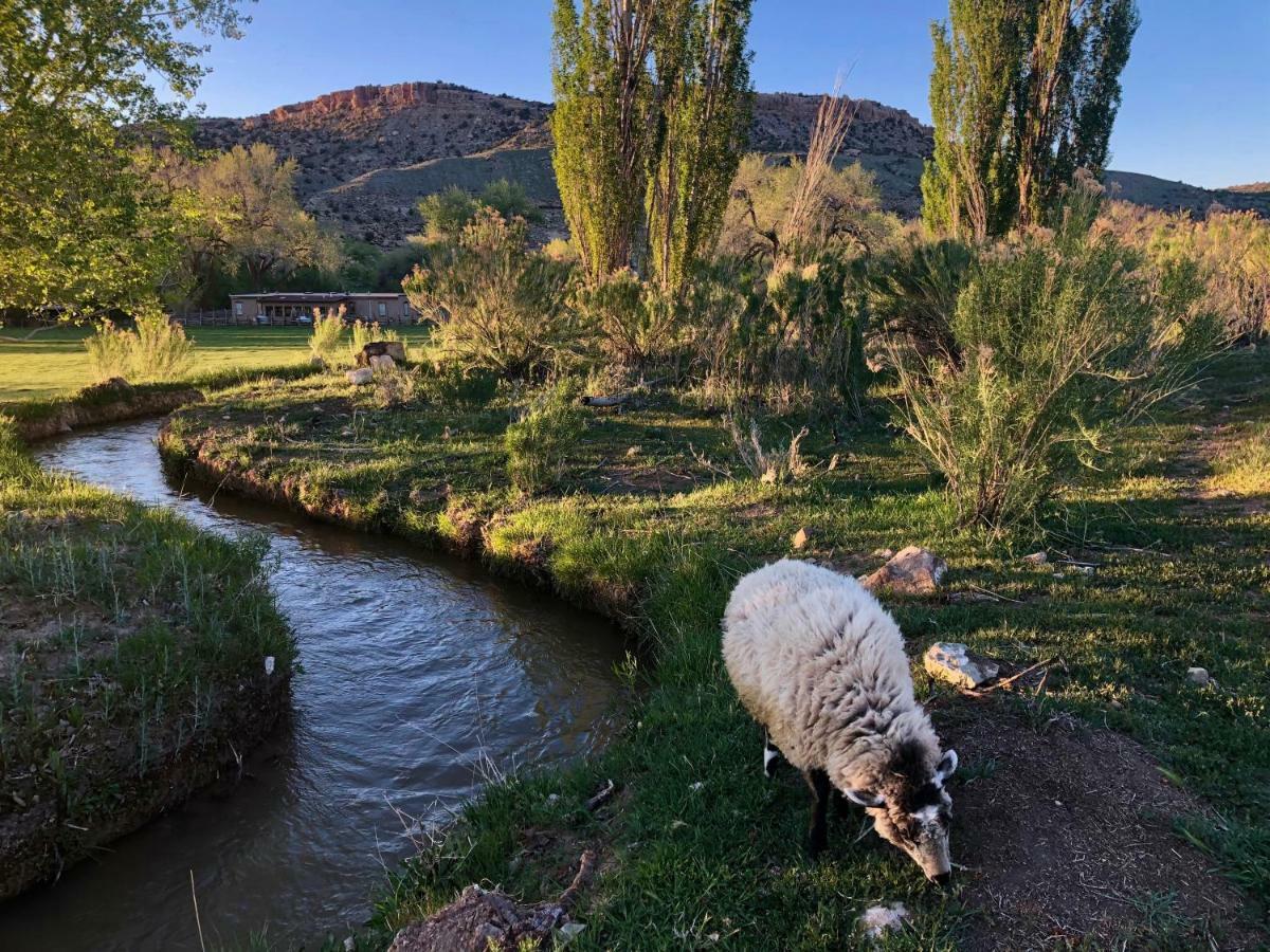 Canyon Of The Ancients Guest Ranch Cortez